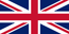 Flag logo
