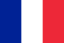 Flag logo