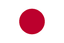 Flag logo