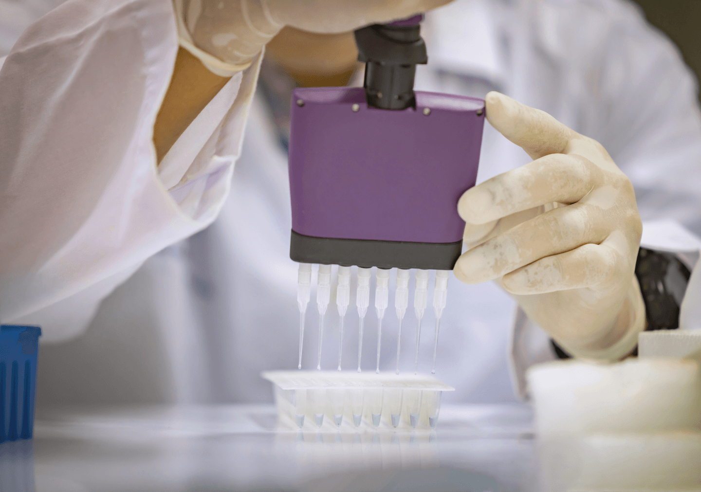 Blog image for ステップ2:ゲノムシーケンス